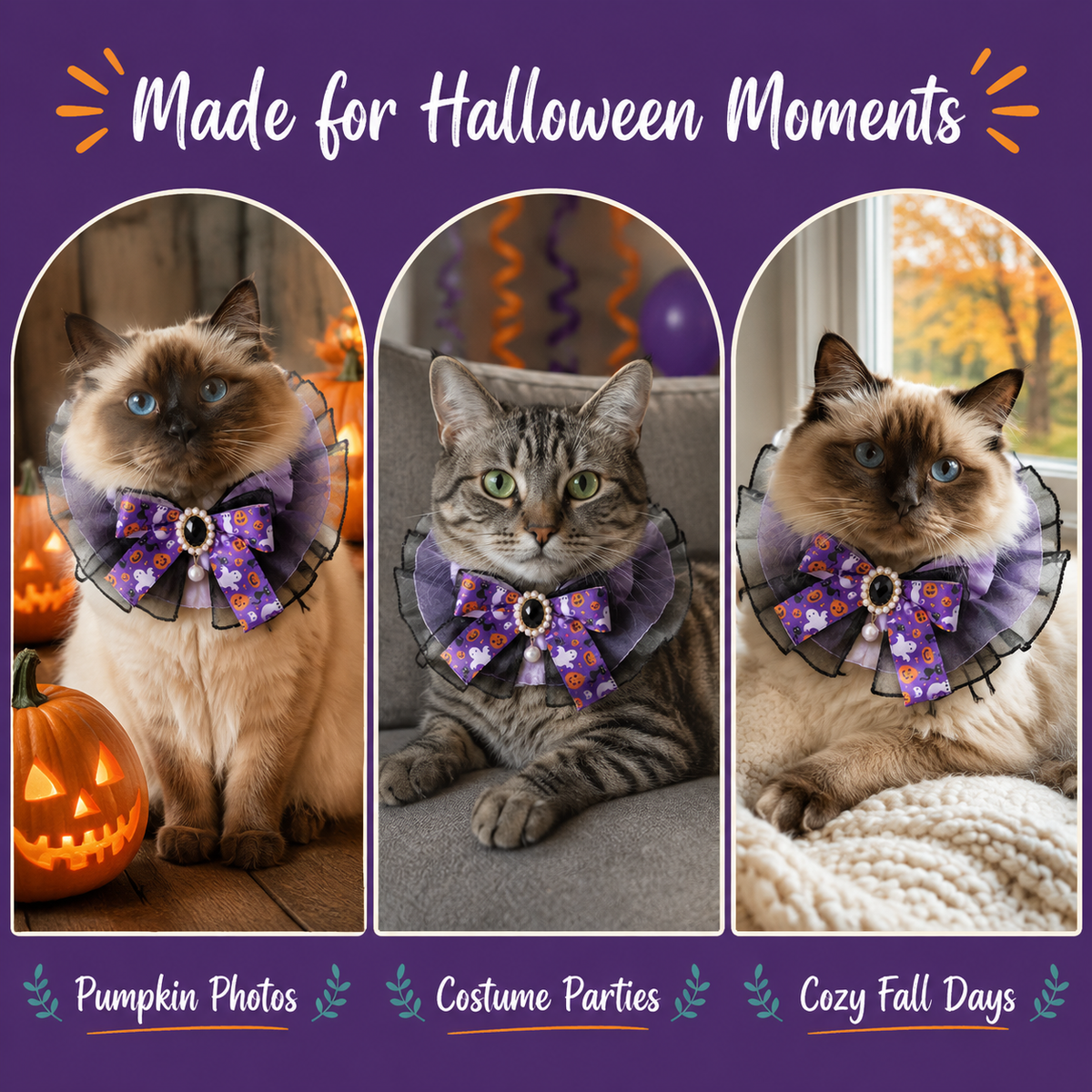 Cats wearing the LitterBond Organza & Satin Halloween Bow Collar for Halloween photos, parties and cozy fall days
