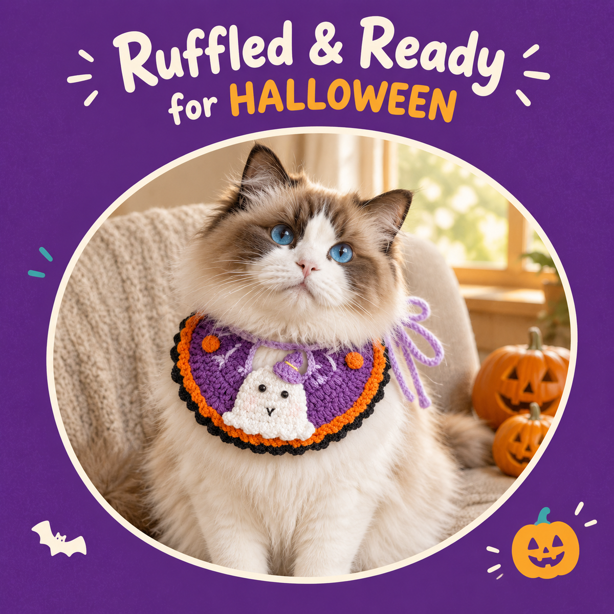 Cat wearing the LitterBond Ruffled Crochet Halloween Collar: Ruffled & Ready for HALLOWEEN