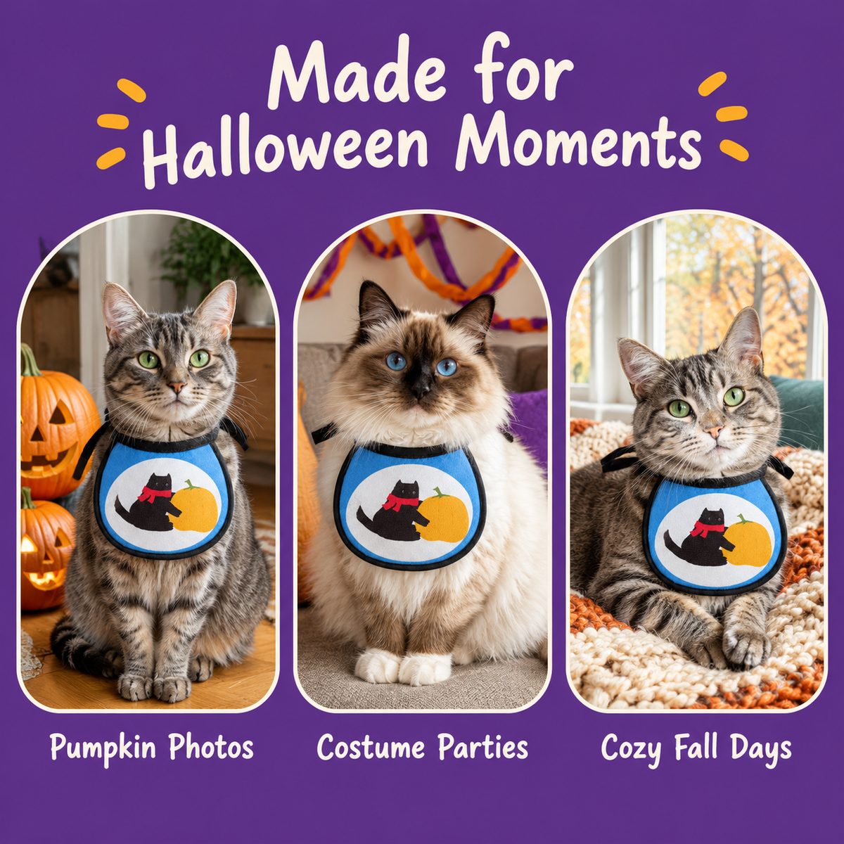 Cats wearing the LitterBond Printed Halloween Bib for Halloween photos, parties and cozy fall days