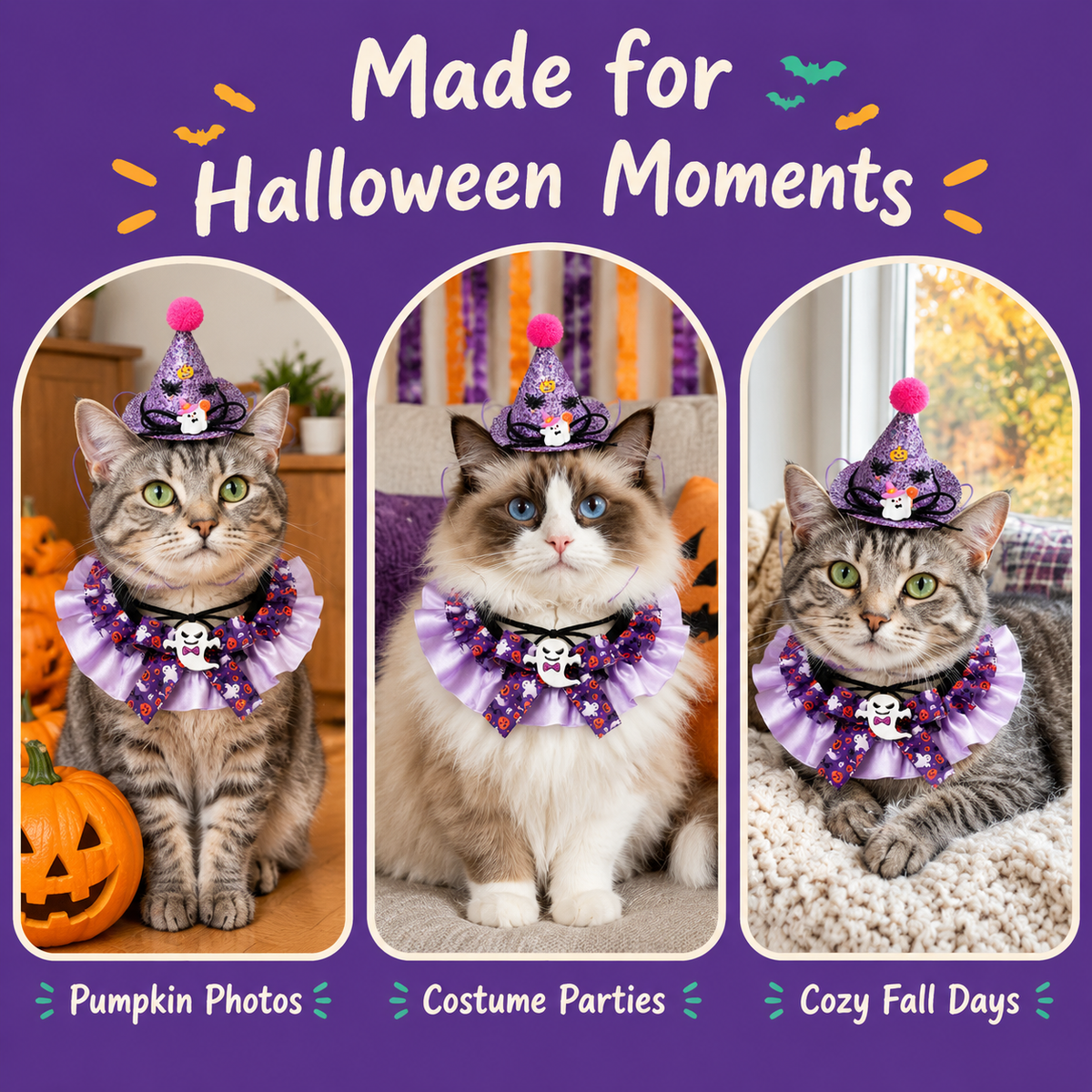 Cats wearing the LitterBond Satin Ruffle Collar & Glitter Witch Hat Set for Halloween photos, parties and cozy fall days