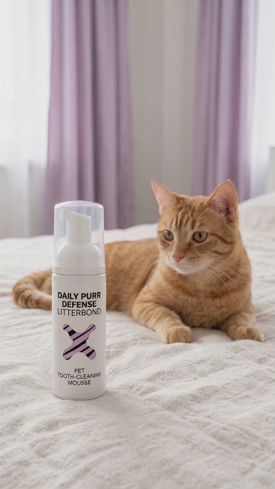 Orange tabby cat on a bed sniffing a bottle of LitterBond Daily Purr Defense dental foam